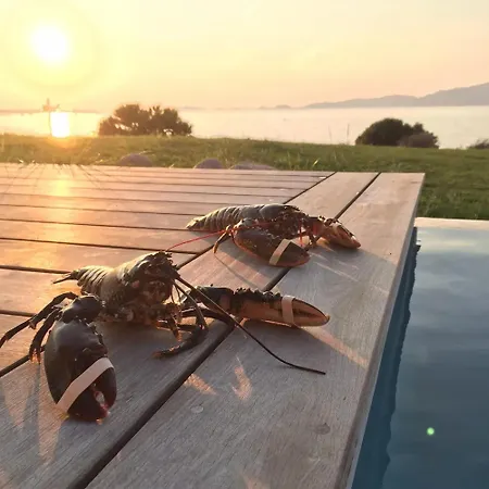 Villa Spacieuse Avec Piscine A *