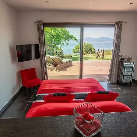 Spacieuse Avec Piscine A Villa Pietrosella