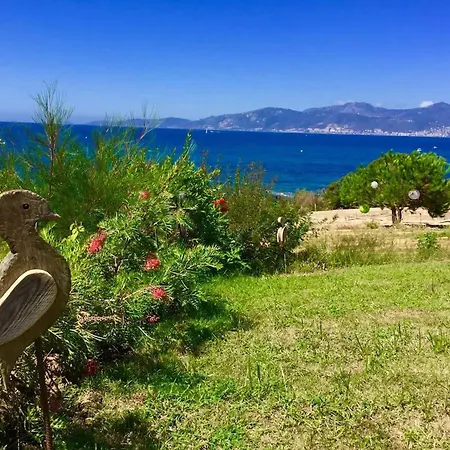 Spacieuse Avec Piscine A Villa Pietrosella